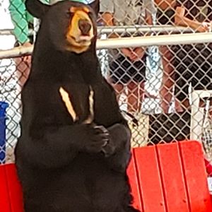 STORE CLOSING SEPTEMBER 12TH